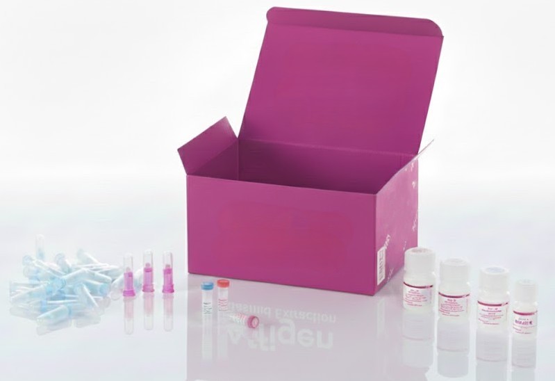 Kit de tratamiento de fibroblastos asociados al cáncer de pulmón humano – 500 mL